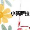 小新薩拉什（關于小新薩拉什簡介）