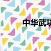 中華武功（關于中華武功的簡介）