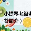 小提琴考級訓練問答（關于小提琴考級訓練問答簡介）