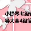 小提琴考級輔導大全4級（關于小提琴考級輔導大全4級簡介）