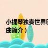 小提琴獨奏世界巴洛克名曲（關于小提琴獨奏世界巴洛克名曲簡介）