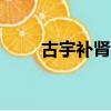 古宇補腎丸400一盒（古宇補腎丸）