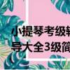 小提琴考級輔導大全3級（關于小提琴考級輔導大全3級簡介）