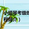 小提琴考級練習教程（關于小提琴考級練習教程簡介）