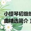 小提琴初級練習曲精選（關于小提琴初級練習曲精選簡介）