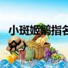 小斑姬鹟指名亞種（關于小斑姬鹟指名亞種簡介）