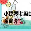 小提琴考級曲目大全（關于小提琴考級曲目大全簡介）