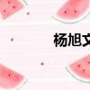 楊旭文（關于楊旭文的簡介）