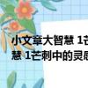 小文章大智慧 1芒刺中的靈感中學精粹版（關于小文章大智慧 1芒刺中的靈感中學精粹版簡介）