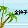 金鈴子種植時間（金鈴子種植）