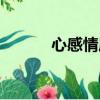 心感情愿的意思（情愿的意思）