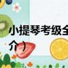 小提琴考級全攻略（關于小提琴考級全攻略簡介）