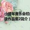 小提琴音樂會經典炫技作品集2（關于小提琴音樂會經典炫技作品集2簡介）