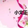 小文正傳（關于小文正傳簡介）