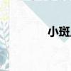 小斑點（關于小斑點簡介）