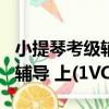 小提琴考級輔導 上(1VCD)（關于小提琴考級輔導 上(1VCD)簡介）