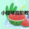 小提琴音階教程（關于小提琴音階教程簡介）