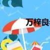 萬梓良老婆現狀（萬梓良老婆）