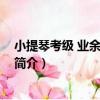 小提琴考級 業余指定教材（關于小提琴考級 業余指定教材簡介）
