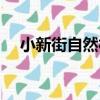 小新街自然村（關于小新街自然村簡介）