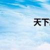 天下家園小報（天下家園）