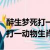 醉生夢死打一動物生肖為什么是馬（醉生夢死打一動物生肖）