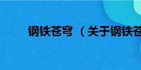 鋼鐵蒼穹 (關于鋼鐵蒼穹 的簡介)