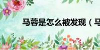 馬蓉是怎么被發現(馬蓉被捉奸)