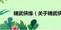 精武俠緣(關于精武俠緣的簡介)