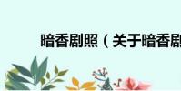 暗香劇照(關于暗香劇照的簡介)
