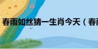 春雨如絲猜一生肖今天(春雨如絲猜一生肖)