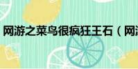網游之菜鳥很瘋狂王石(網游之菜鳥很瘋狂)