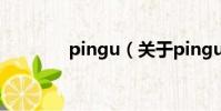 pingu(關于pingu的簡介)
