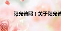陽光普照(關于陽光普照的簡介)