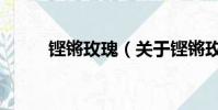 鏗鏘玫瑰(關于鏗鏘玫瑰的簡介)