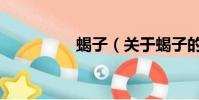 蝎子(關于蝎子的簡介)