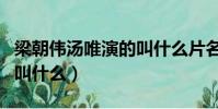 梁朝偉湯唯演的叫什么片名(梁朝偉湯唯演的叫什么)