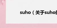 suho(關于suho的簡介)