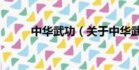 中華武功(關于中華武功的簡介)
