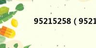 95215258(95215259)