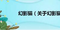 幻影貓(關于幻影貓的簡介)