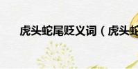 虎頭蛇尾貶義詞(虎頭蛇尾的反義詞)