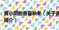 黃小廚的春夏秋冬(關于黃小廚的春夏秋冬的簡介)