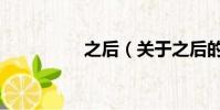 之后(關于之后的簡介)