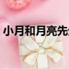 小月和月亮先生（關于小月和月亮先生簡介）