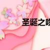 圣誕之吻（關于圣誕之吻的簡介）