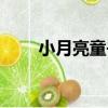 小月亮童書（關于小月亮童書簡介）