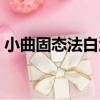 小曲固態法白酒（關于小曲固態法白酒簡介）