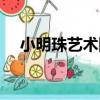 小明珠藝術團（關于小明珠藝術團簡介）