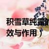 積雪草純露的功效與作用點（積雪草純露的功效與作用）